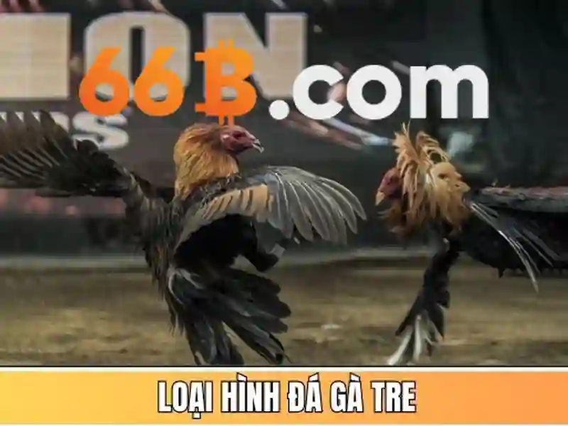 Nhan vien CSKH 66b ho tro truc tuyen qua Live Chat 24/7